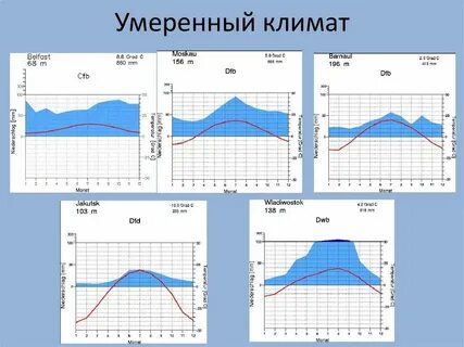 Умеренно климатический пояс резко континентальный климат