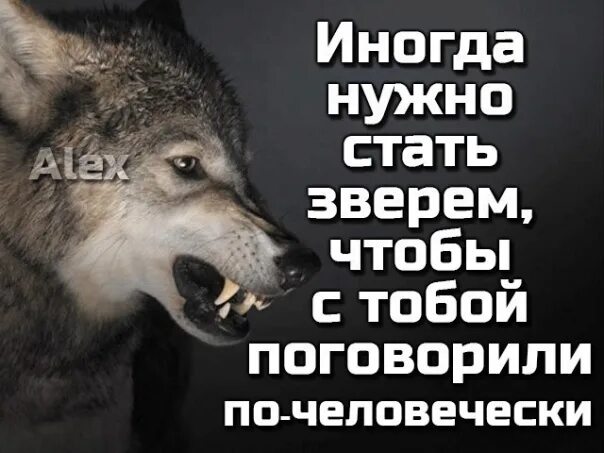 Иногда нужно стать зверем. Иногда нужно стать зверем чтобы с тобой поговорили по-человечески. Цитаты по человечески. Животными бывают люди.