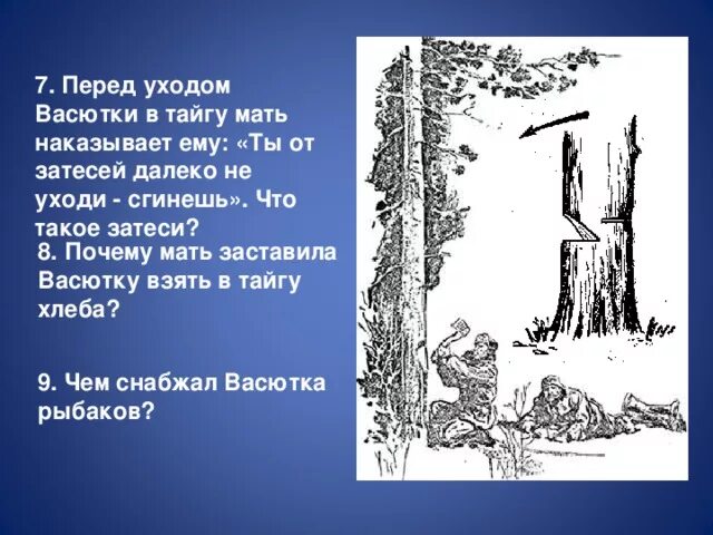 Затеси Астафьев. Васютка в тайге. Затеси в тайге. Затесь это в литературе.