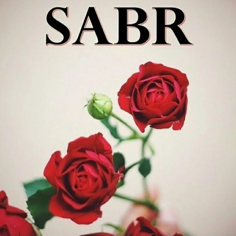 Sabr терпение. Сабр картинки. Терпение на арабском. Сабр терпение. Картинки сабр терпение.