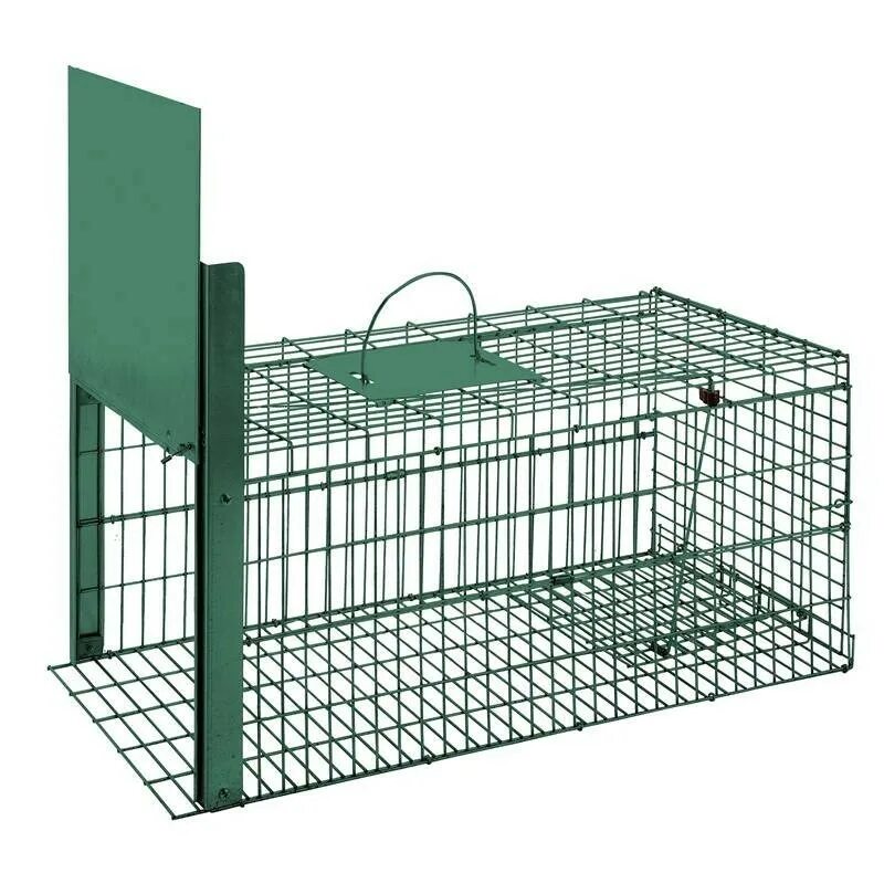 Чертежи ловушки фазана. ЛОВУШКА клетка на фазана. Клетка для ловли фазана. Клетка для лова фазанов. Механизм для ловушки на фазана