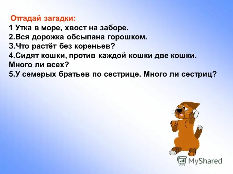 море хвост на заборе.