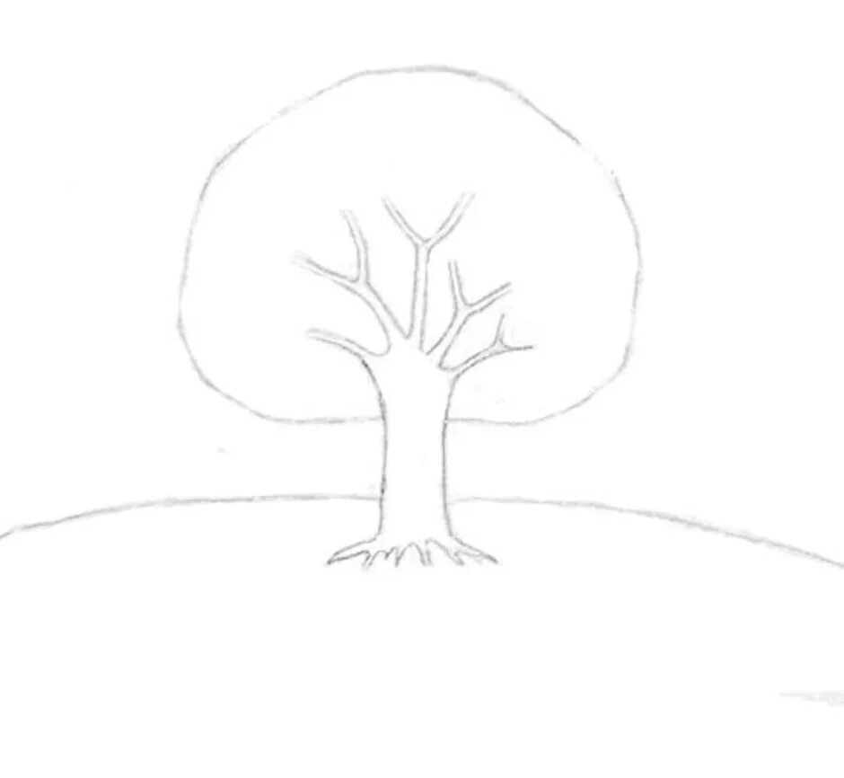 Рисунок дерева 6 класс изо. Дерево рисунок карандашом. дерево карандашом для срисовки. нарисовать простое дерево. нарисовать дерево карандашом.