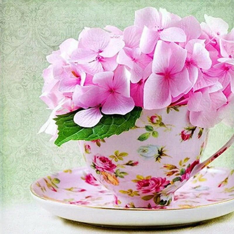 Хорошего нежного дня настроения. Цветы в чашке. Нежные цветы в чашке. Открытки с добрым утром красивые. Цветочки в кружке.