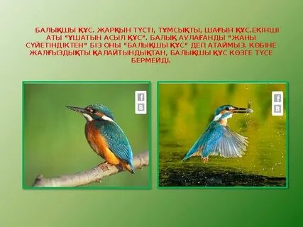 Джек порно мультфильм