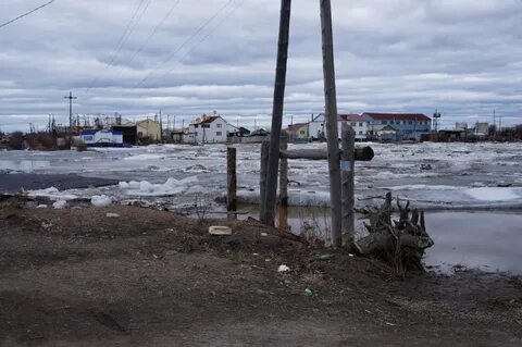 Погода среднеколымск