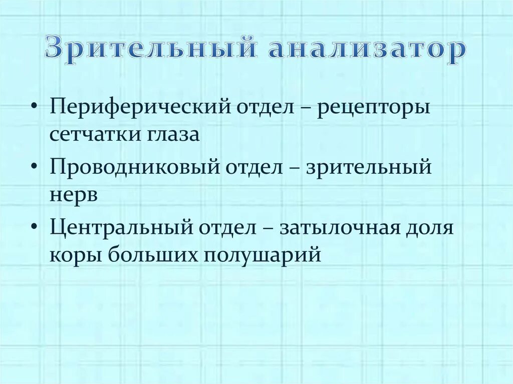 Анализаторы периферический отдел проводниковый отдел. Зрительный анализатор периферический отдел рецепторы. Периферический отдел глаза. Периферический отдел проводниковый отдел Центральный отдел. Чем представлен периферический отдел