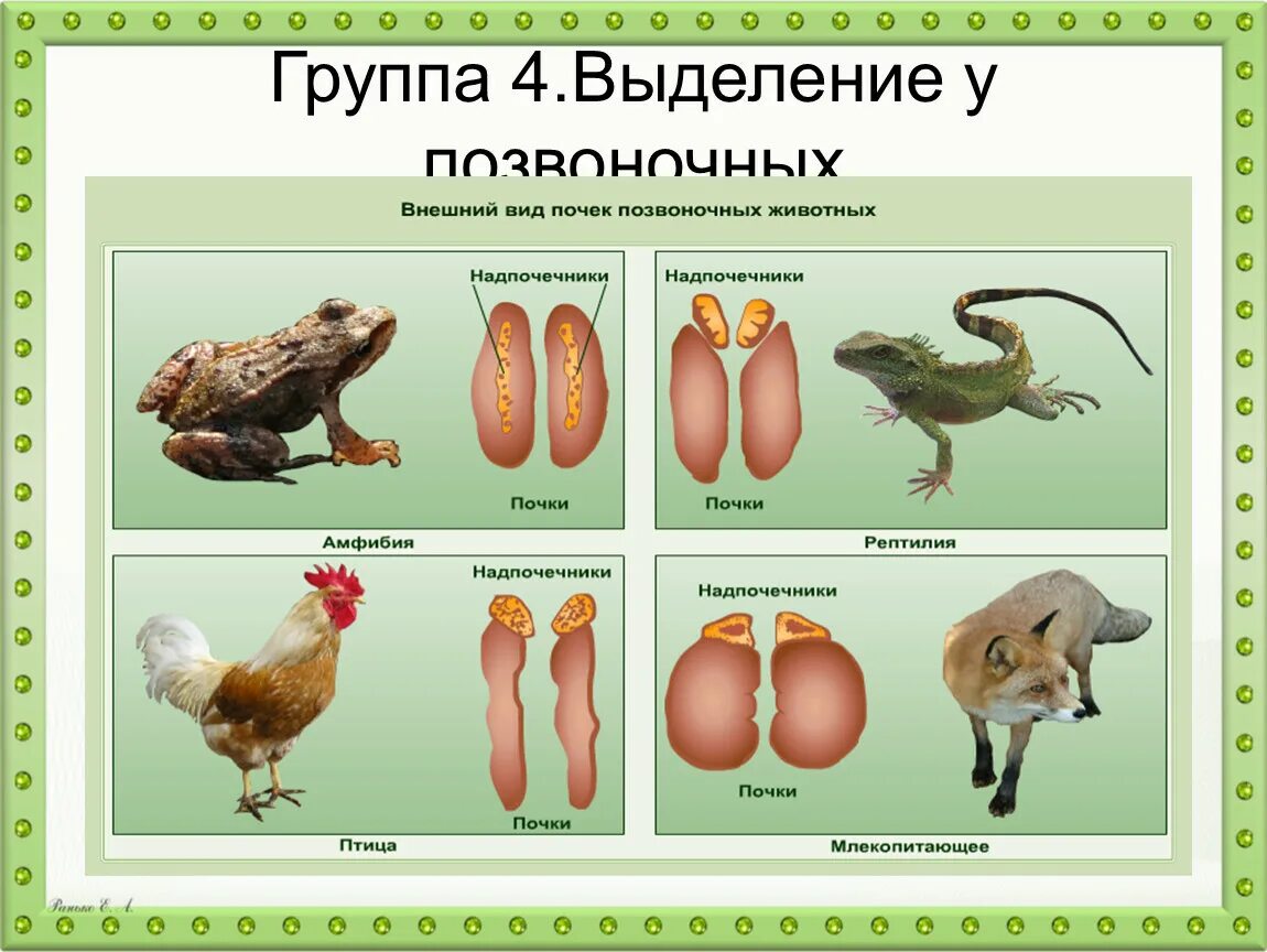 Биология