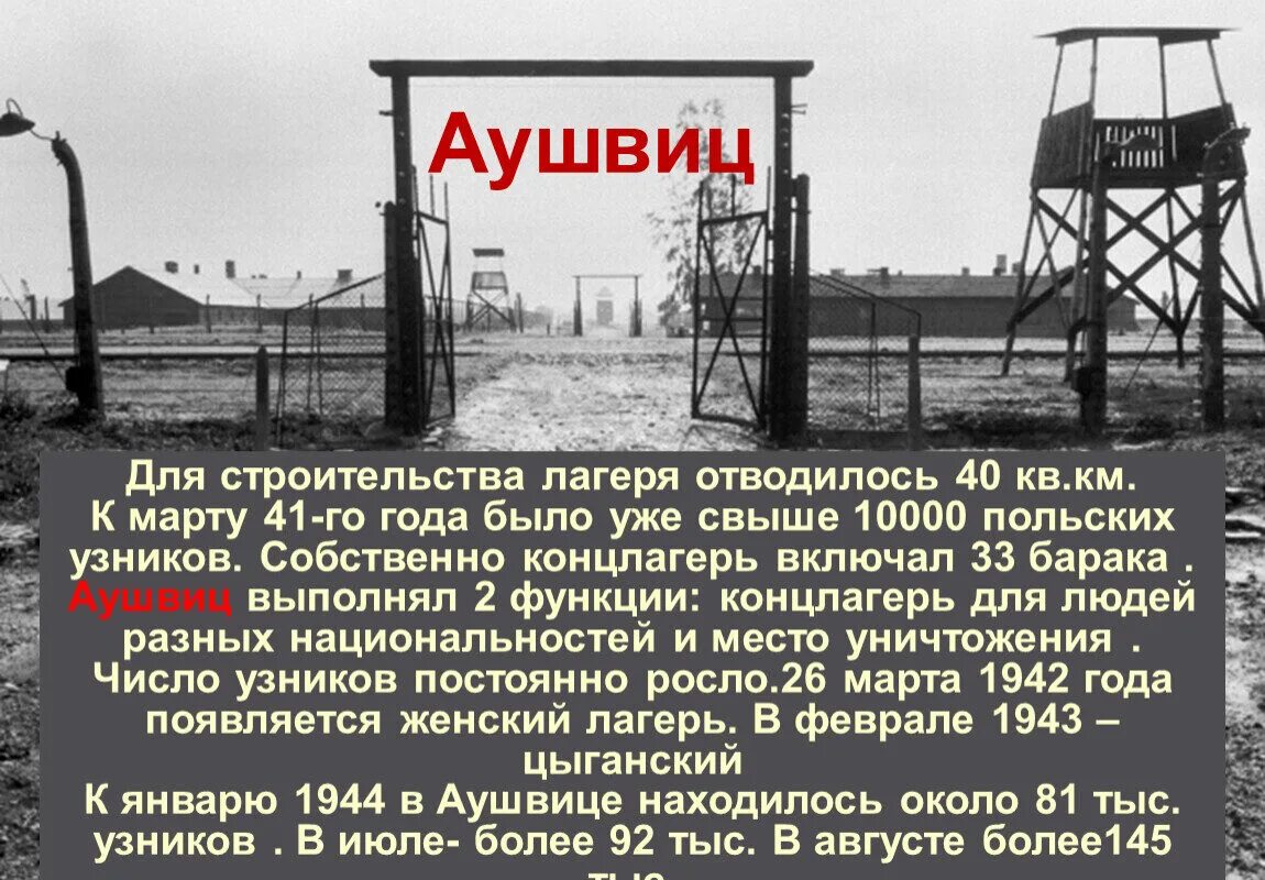 день жертв холокоста. места памяти массового уничтожения. посвящается дню памяти жертв холокоста. концентрационный лагерь аушвиц освобождения. музей мемориал жертвам холокоста берлин.