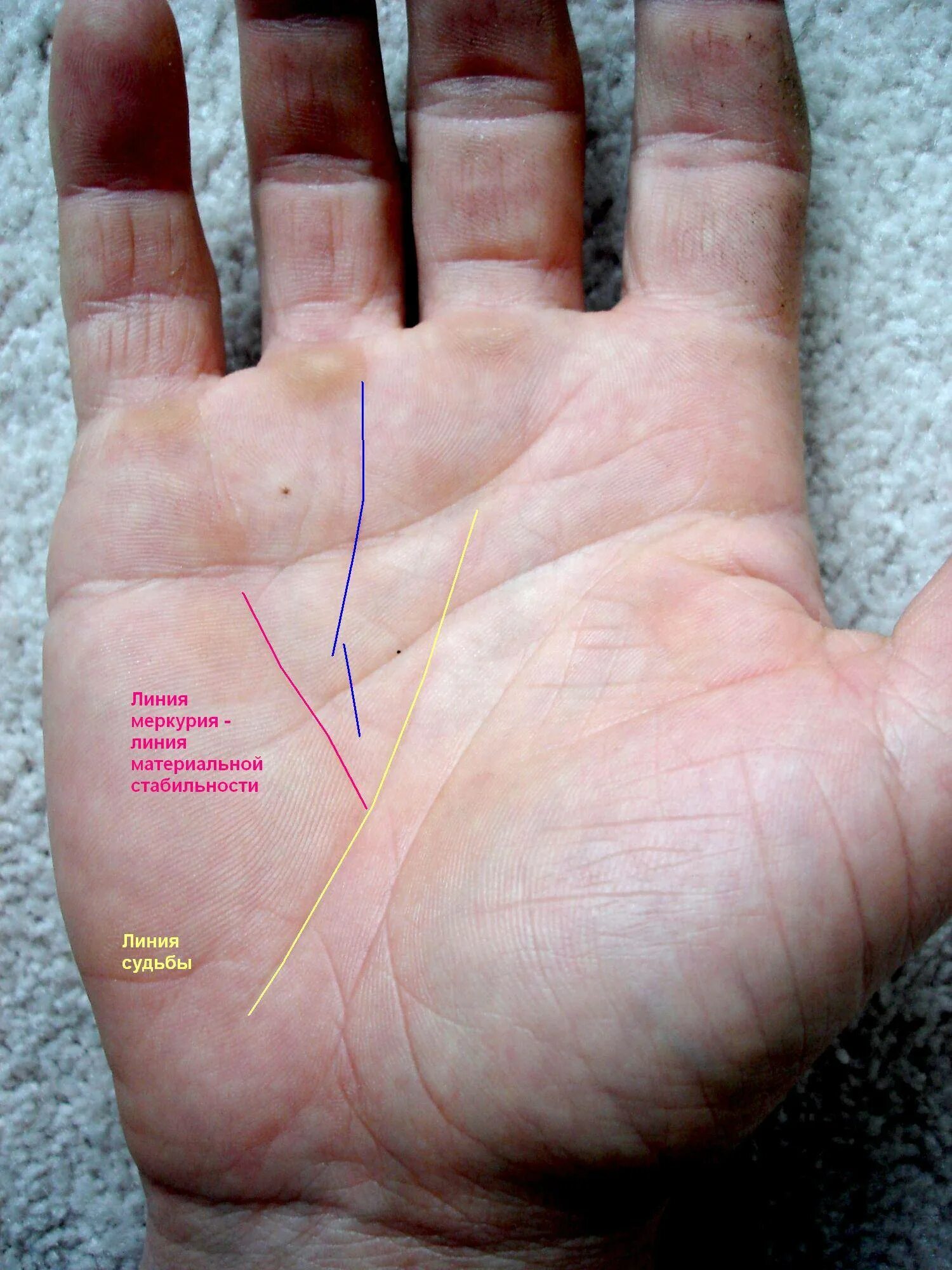 Где ладонь. Линия Аполлона хиромантия. Хиромантия линия удачи. Нади Грандха хиромантия линия сердца. Линия интуиции на ладони.