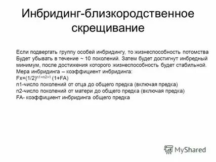Поле гибридное скрещивание