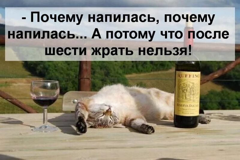 почему потому что так хочется. почему ты такая потому что так тебе и надо. хочется чего то вкусненького. звоните просто так. мне уже скучно а вам непонятно.