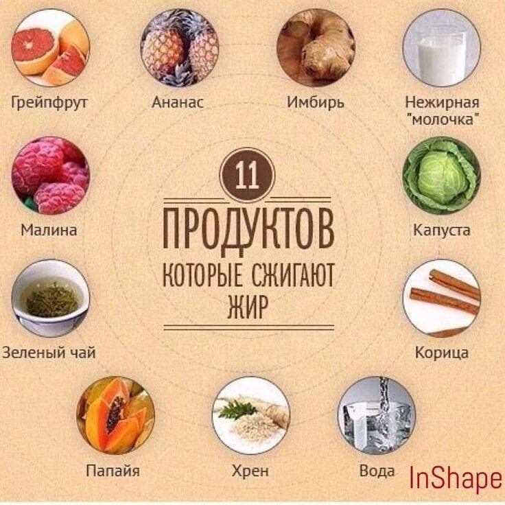 Продукты для похудения. Продукты сжигающие жир. Жиросжигающие продукты. Жиросжигающ е продукты