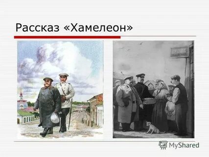 Рассказал чехова хамелеон