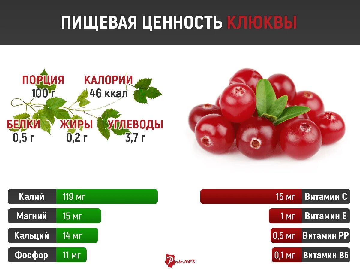 Самые полезные ягоды. Клюква витамины. Ягоды по полезности. Микроэлементы в клюкве.