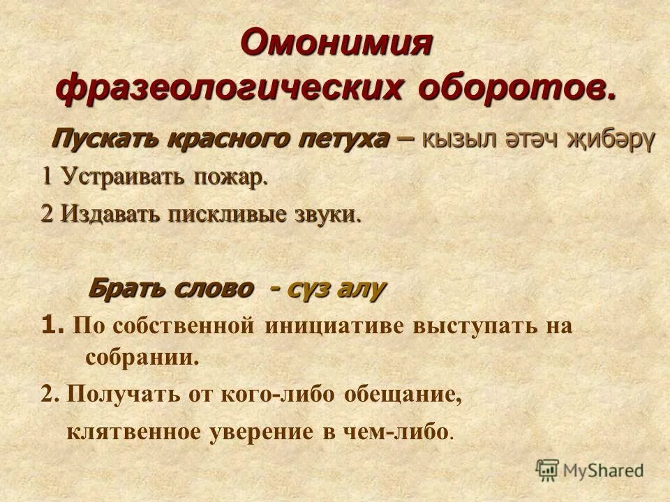 Белоруссия природа беловежская пуща. Пущу в оборот. Олений мост,роминтенская пуща. Роминтенская пуща калининградская область. Что такое пуща определение.