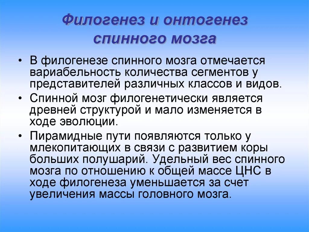 Строение филогенеза. Филогенез спинного мозга. Онтогенез и филогенез. Понятие об онтогенезе и филогенезе. Развитие спинного мозга в филогенезе.