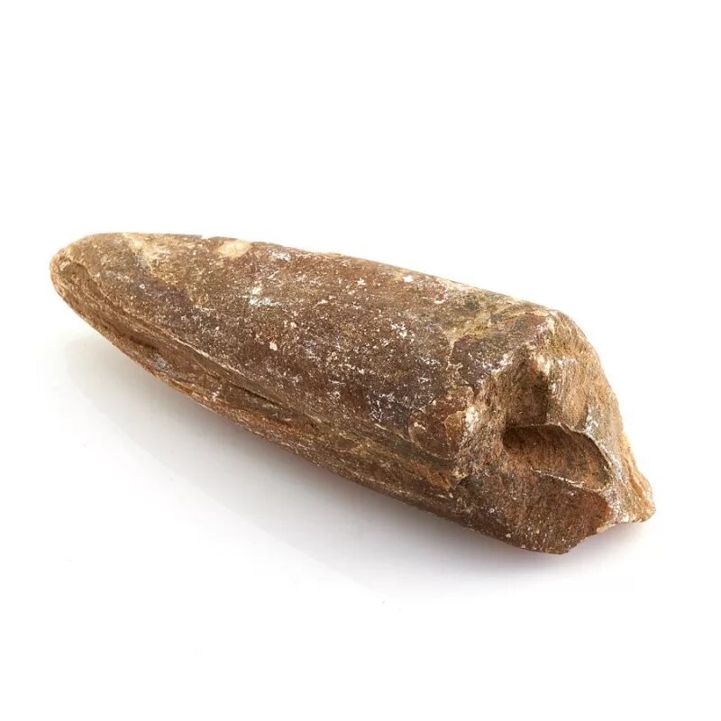 Чертов палец свойства и применение. Белемниты чертов палец. Чертов палец свойства и применение. Чертов палец свойства и применение. Камень белемнит чёртов.