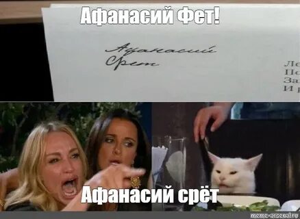2 девушки и кот