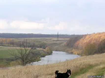 Погода в село троекурова