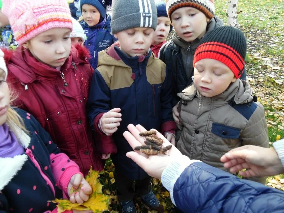 Экскурсия с ребенком 2 года. Экскурсии в детском саду. Экскурсия для детей дошкольного возраста. Дети на экскурсии. Дошкольники на прогулке.