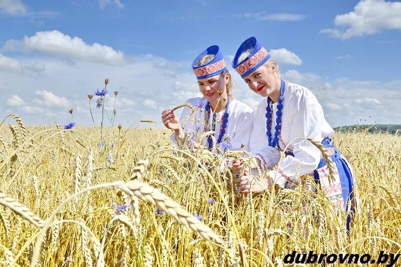 День сельского хозяйства в беларуси