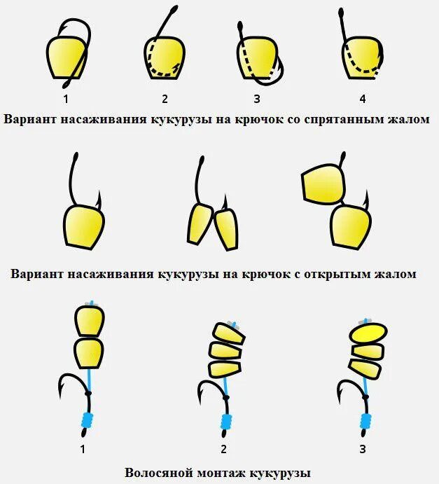 Как правильно насаживать кукурузу на крючок для ловли. Как одевать кукурузу на крючок. Как правильно насадить кукурузу на рыболовный крючок. Как насадить кукурузу на карася.