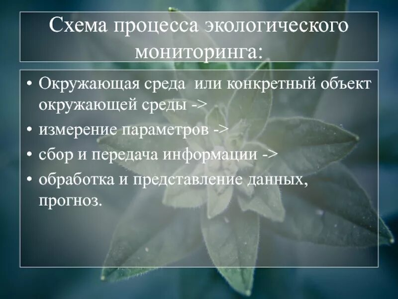 Процесс экологического мониторинга. Процесс экологического мониторинга