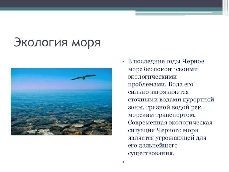 У черного моря окр мир 4 класс. Охрана чёрного моря 4 класс окружающий мир. экология черного моря. экологическая ситуация черного моря. экологические проблемы черного моря.