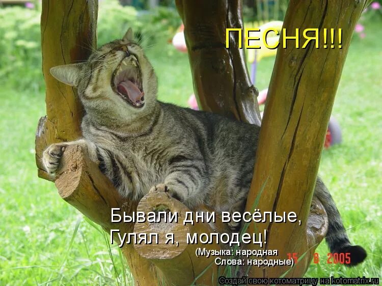 Песни бывали дни веселые