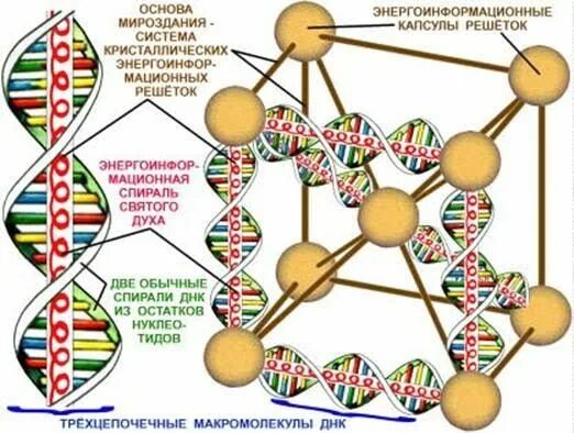 Основой мироздания является. Решетка днк. матрица мироздания. основы мироздания. кристаллическая структура днк.