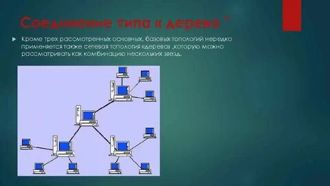 Особенность древовидной топологии построения сетей передачи данных