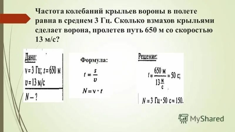 Сколько взмахов в секунду делает