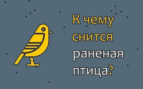 Снится быть птицей
