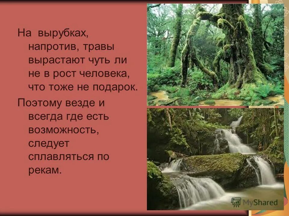 А там хоть трава расти. Хоть трава не расти пословица. Журнал крокодил хоть трава не расти. Сказочный персонаж лентяй. А там хоть трава не расти значение.