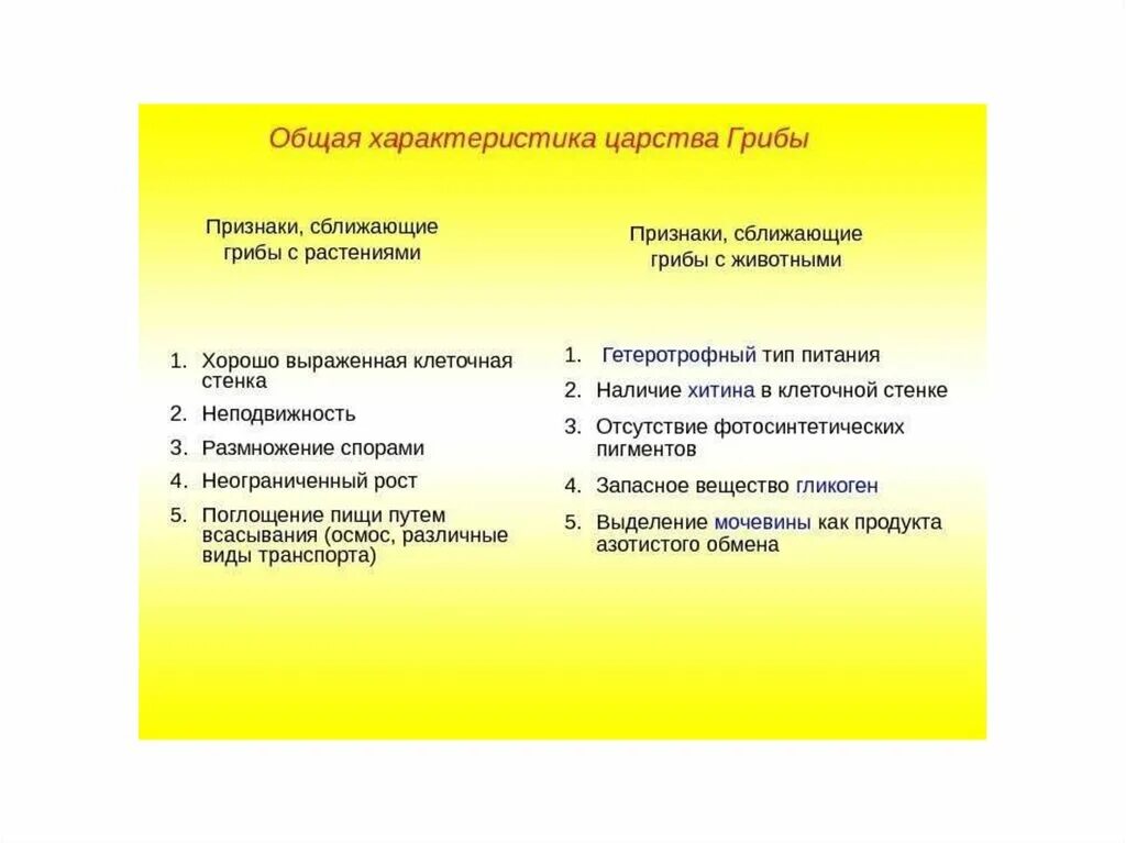 Каковы общие признаки грибов 5. Признаки сближающие грибы с животными. Признаки грибов сближающие их с растениями. Признаки сближающие грибы с растениями. Признаки сближающие грибы с растениями и животными.