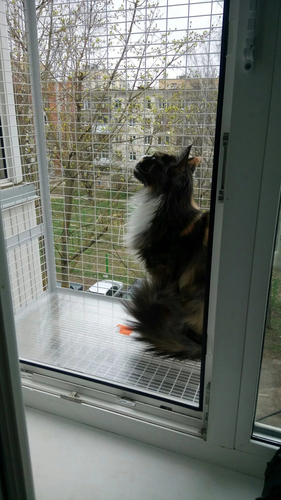 Сетка на окно для кошек антикошка купить. Клетка антикошка. Решетка антикошка. Антикошка на окна. Решетки антикошка на окна.