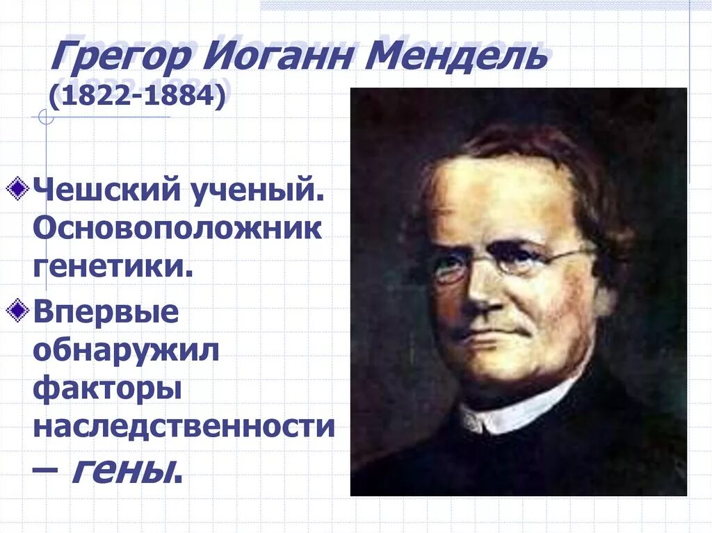 Создатель генетики. Грегор Иоганн Мендель(1822 – 1884). Грегор Мендель основатель генетики. Мендель основоположник генетики. Грегор Иоганн Мендель генетика.