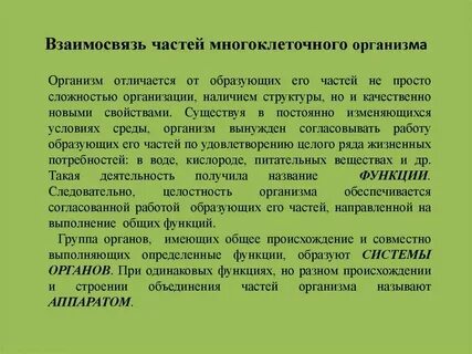 Взаимосвязь структур организма