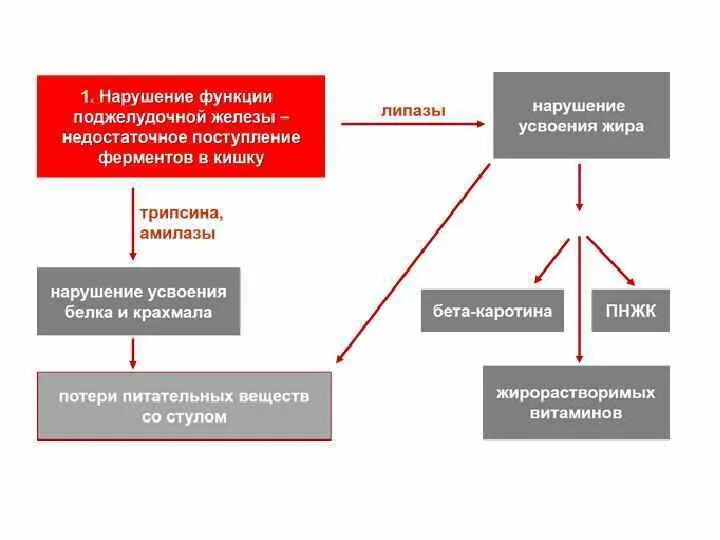 Нарушения белка в организме. Нарушение усвоения белка. Нарушение усвоения белка в организме. Последствия нарушения усвоения белков. Причины нарушения усвоения пищевых белков.