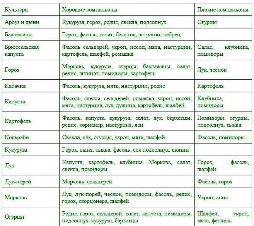 Какое соседство. Таблица совместимости посадок овощных культур. таблица совмещения посадки овощей. соседство растений на огороде таблица овощей грядках совместимости. совместимость овощей на огороде при посадке таблица.
