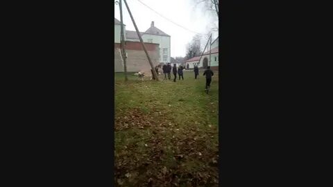 Элжур пацаева нестеровской