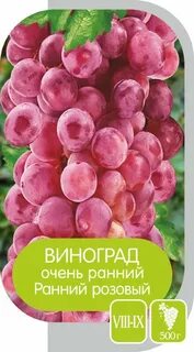 Ранний розовый