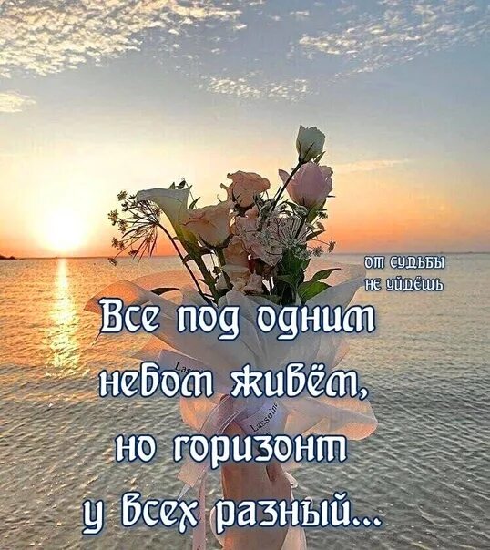 Август заглянул уже в окошко посидим