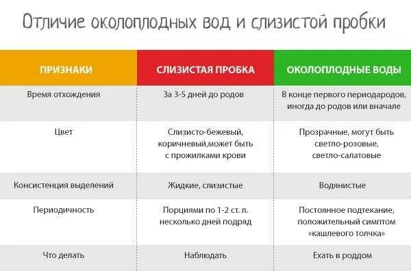 Как выглядит пробка перед родами у кошки Тренировочные схватки за сколько