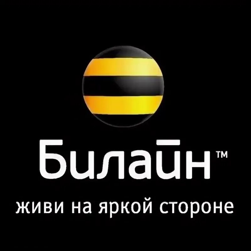 Билайн дружи сетями. Билайн логотип. Билайн в крыму. Билайн пауза. Beeline новый логотип.