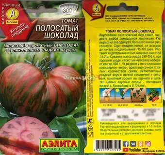 Урожайность томата полосатый шоколад