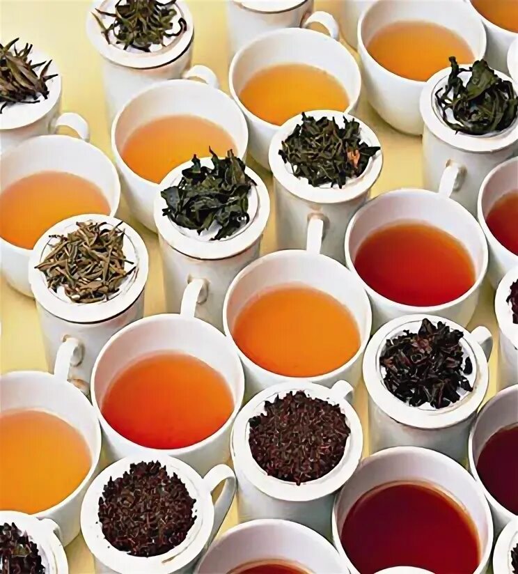 Много чая. Чай в Китае. Чая много не бывает. Много видов чая на белом.