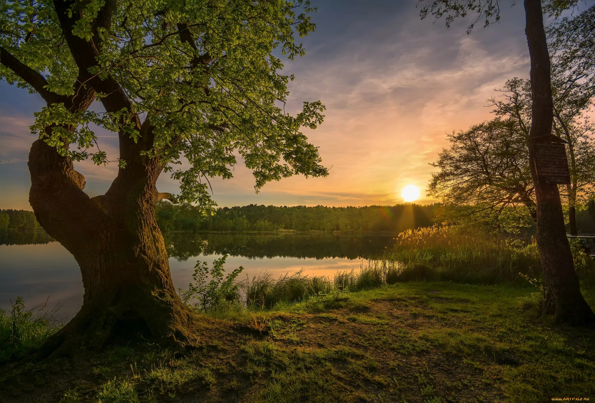 красивые пейзажи русской природы. просто природа фото. природа легкая. эстетика пушицы. природа новой зеландии горы.
