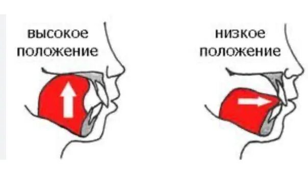 Правильное положение языка. Правильное положение языка во рту. Неправильное положение языка во рту. Правильная позиция языка. Язык во рту в спокойном состоянии